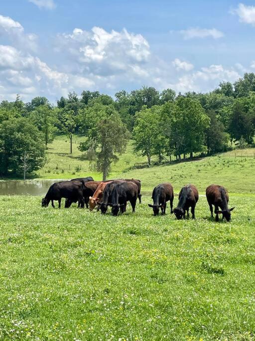 Вилла Bourbon Trail: Caboose On The Farm Lawrenceburg Экстерьер фото